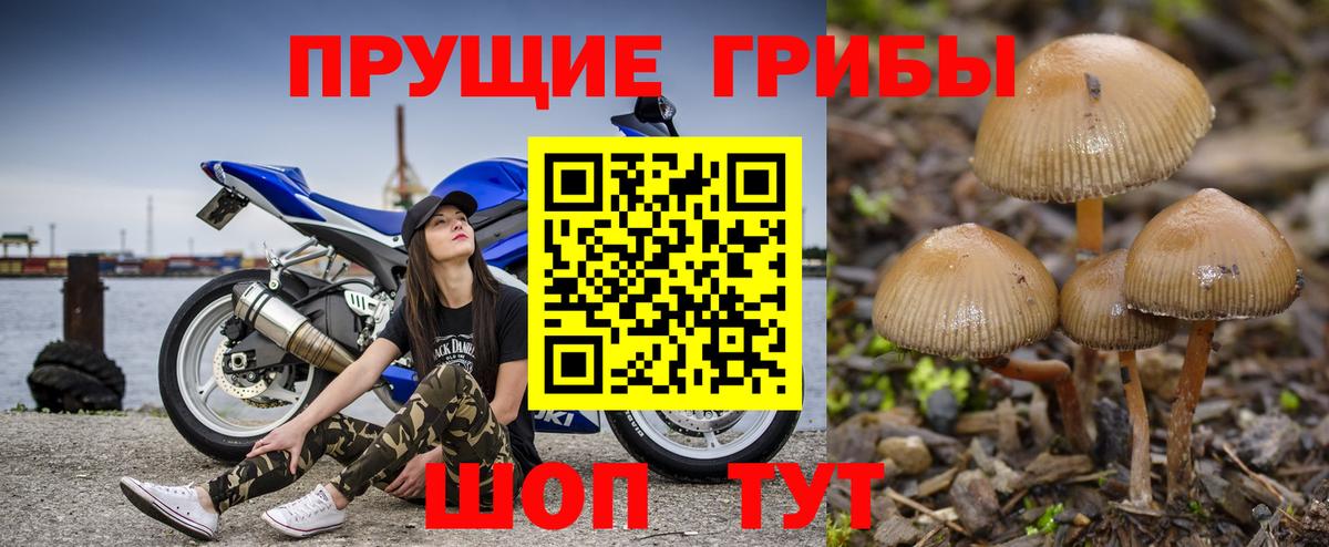 Долгопрудный  цены наркотик  Вход с VPN  Галлюциногенные грибы мицелий 