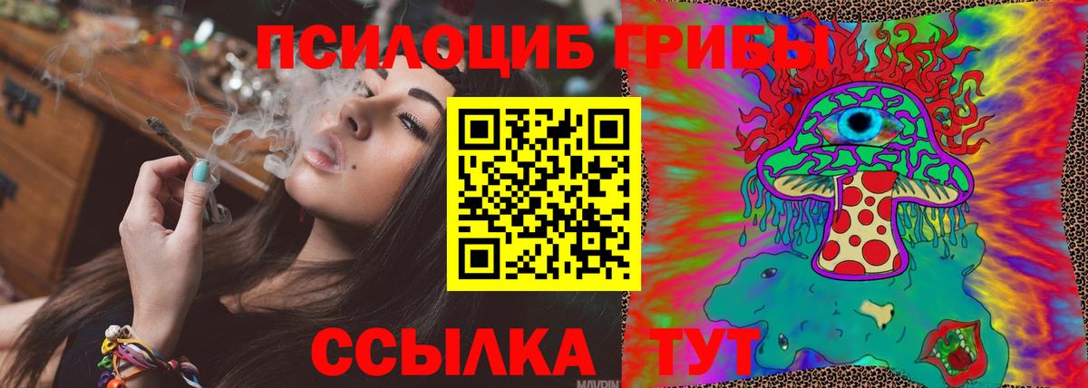 Галлюциногенные грибы GOLDEN TEACHER Долгопрудный