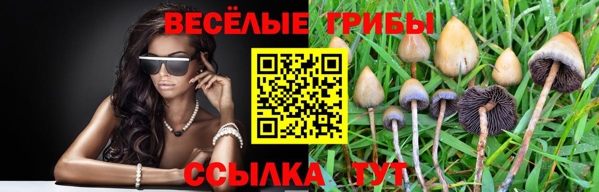 Галлюциногенные грибы Долгопрудный